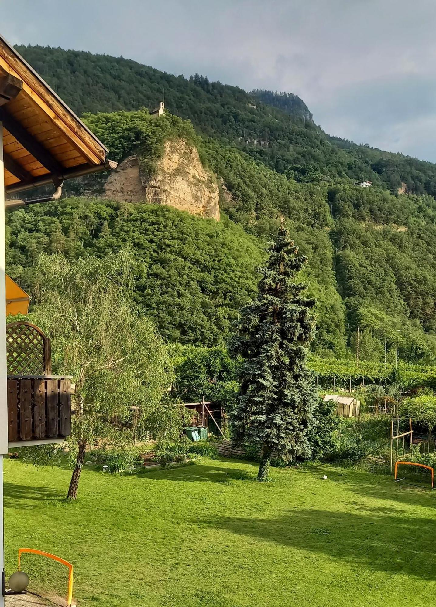 Hotel Garni Gruener Baum Лайвес Экстерьер фото